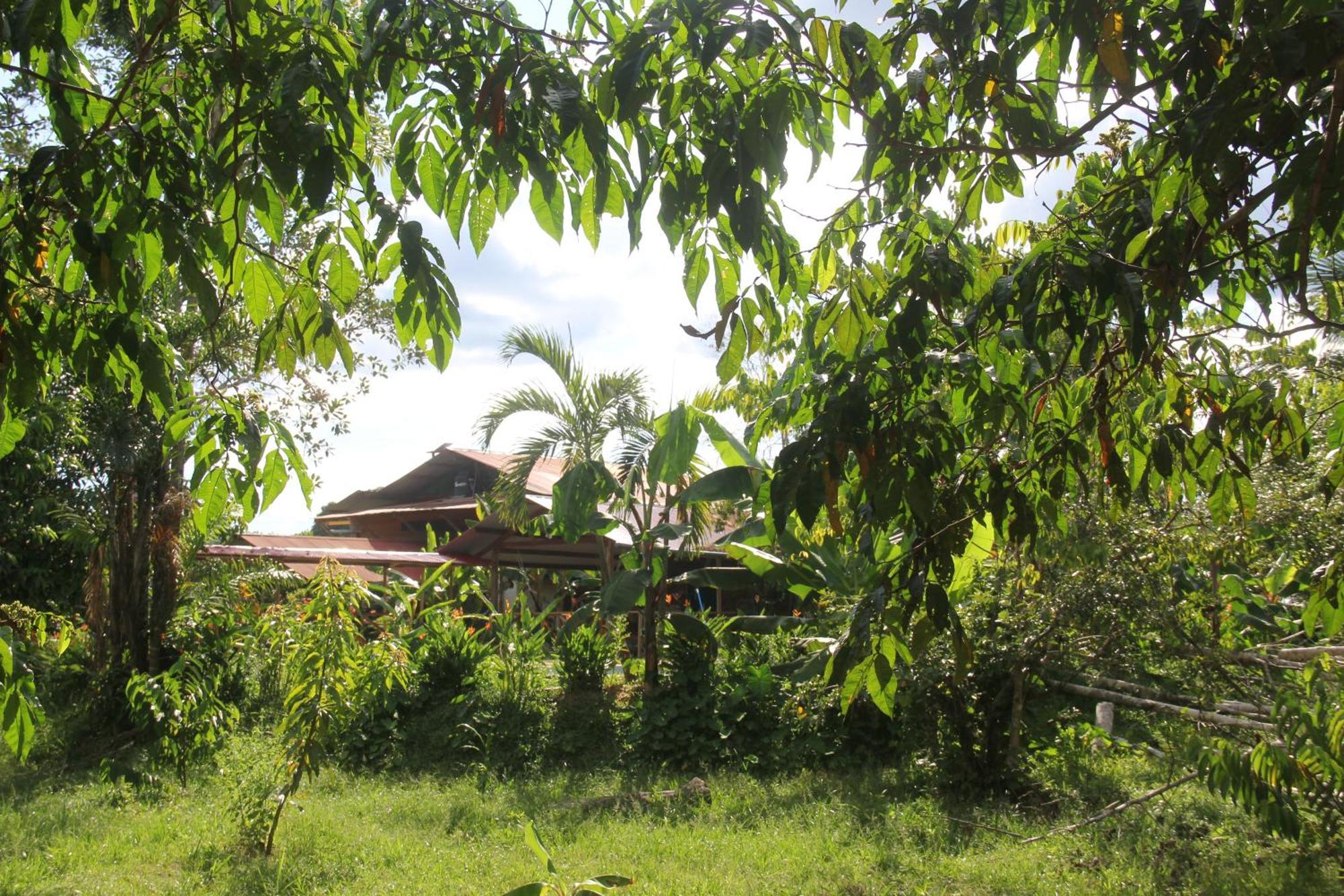 Purachata Ecolodge Iquitos Exterior foto