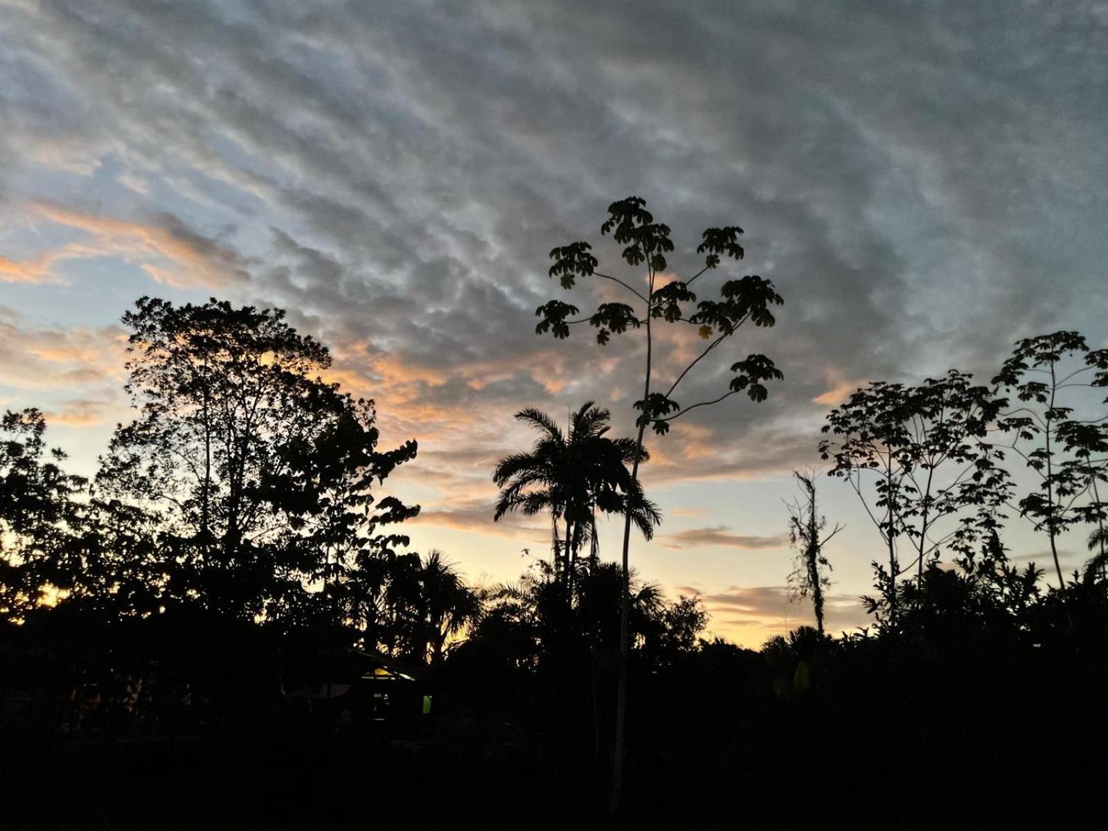 Purachata Ecolodge Iquitos Exterior foto
