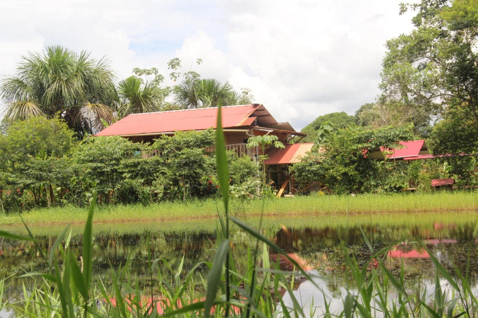 Purachata Ecolodge Iquitos Exterior foto