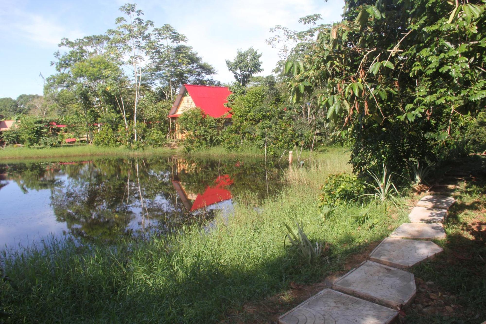 Purachata Ecolodge Iquitos Exterior foto
