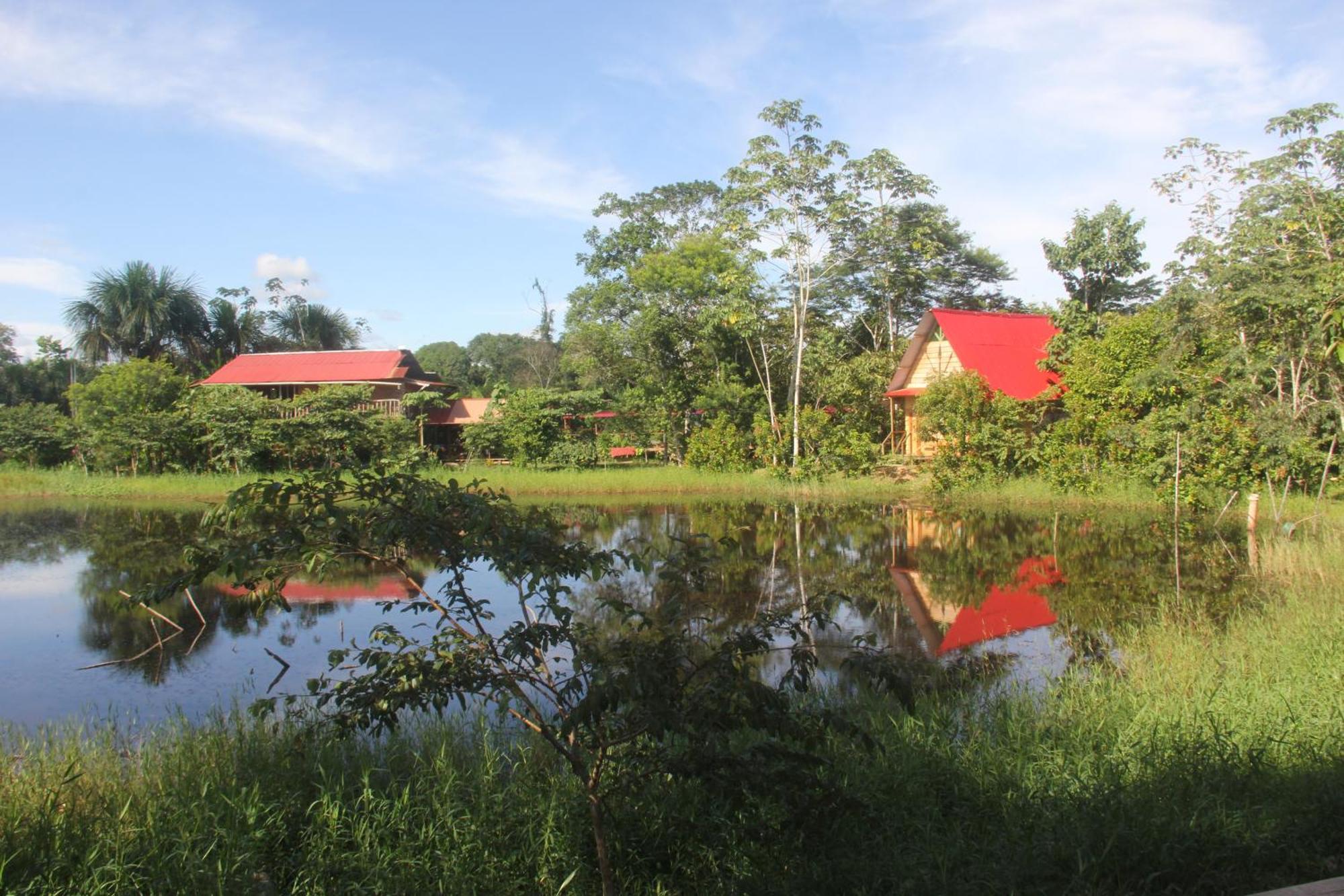 Purachata Ecolodge Iquitos Exterior foto