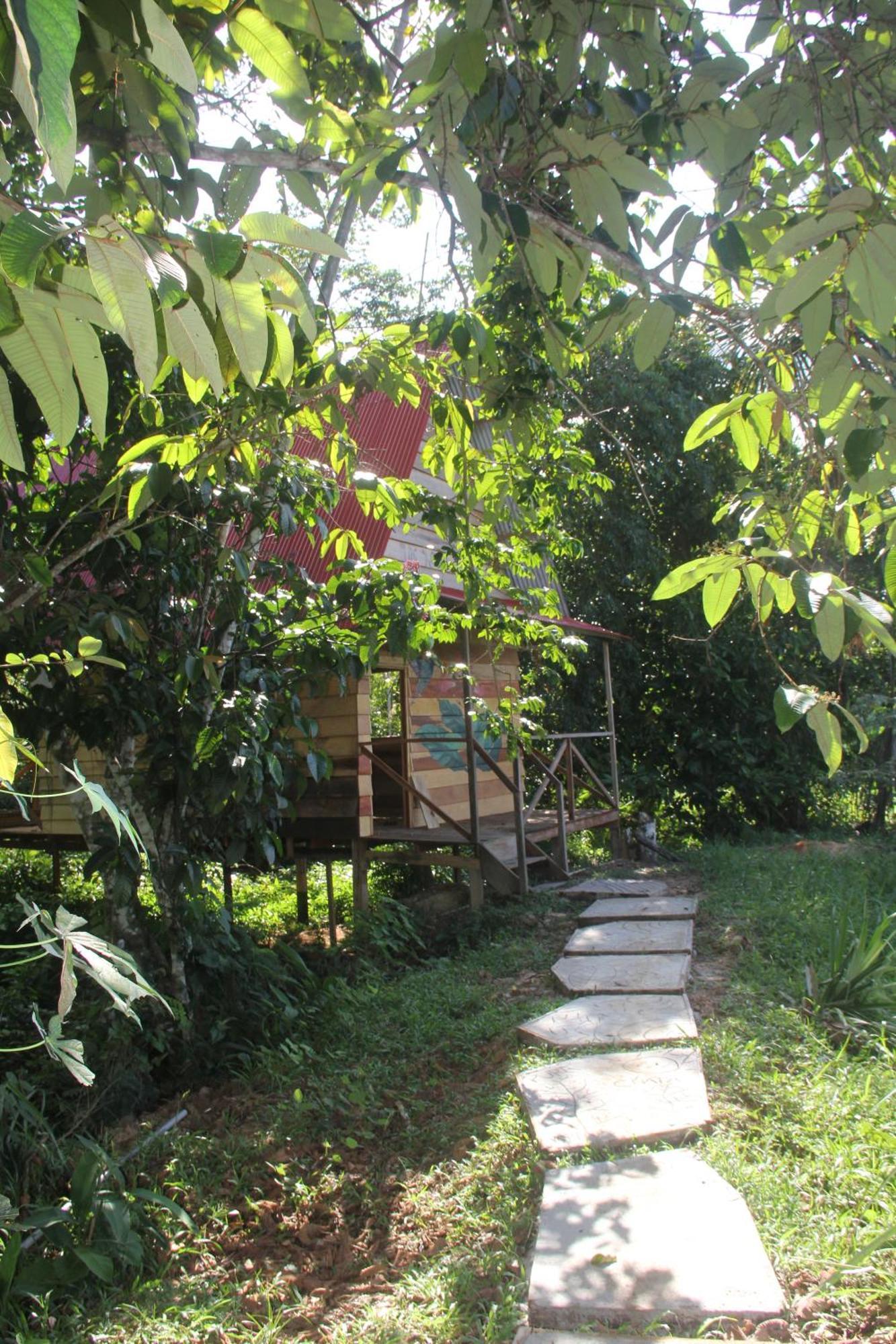 Purachata Ecolodge Iquitos Exterior foto