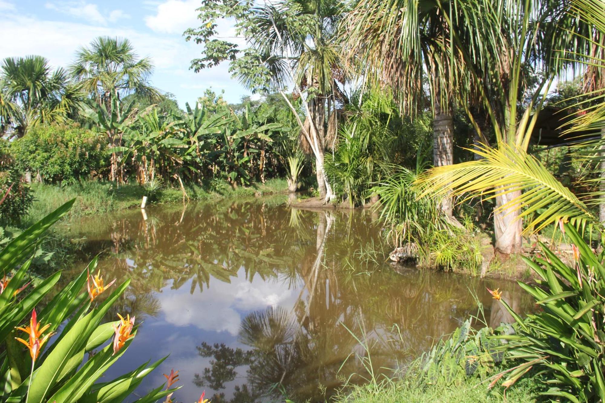 Purachata Ecolodge Iquitos Exterior foto
